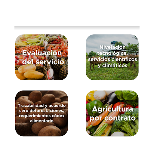 El Campo Innova Screen 3