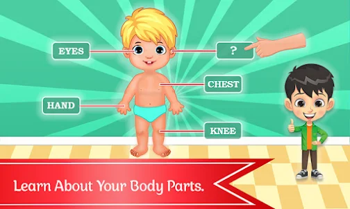 Learn Human Body Parts Kids