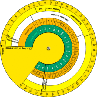 Obstetric Wheel Calculator