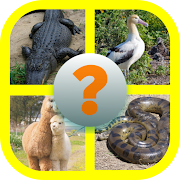 Learn English (Animals) app icon