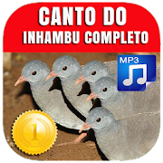 Canto do Inhambu Completo 2020