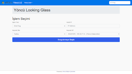 Looking Glass Pro Screen 3