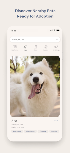 Benji - Adopt & Rehome Pets Screen 3