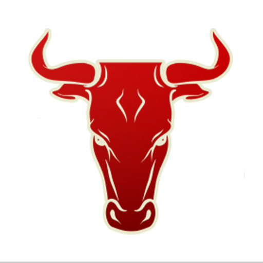 Bulls Burgers logo
