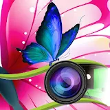 Butterfly Pip Camera Tembus Pandang icon