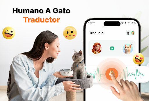 Vista previa de la aplicación