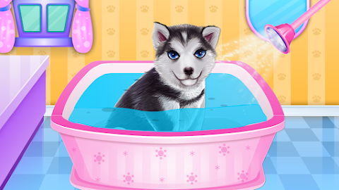 Husky Puppy Spa Salonのおすすめ画像2