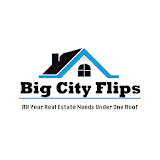 Big City Flips icon