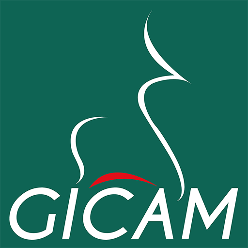 MyGICAM 6.5.0-gicam Icon