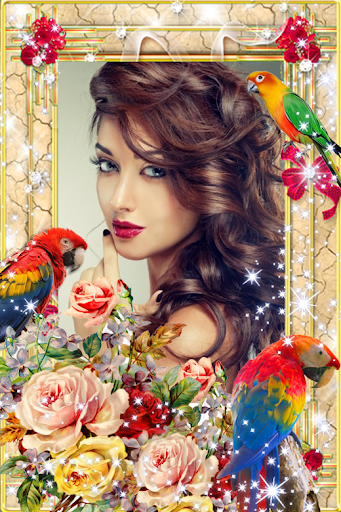 Android application Bird Photo Frame screenshort