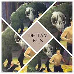 DH Tam Run
