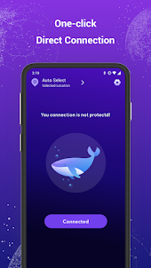 Dolphin VPN - Secure & Stable