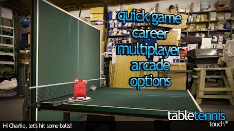 Table Tennis Touch