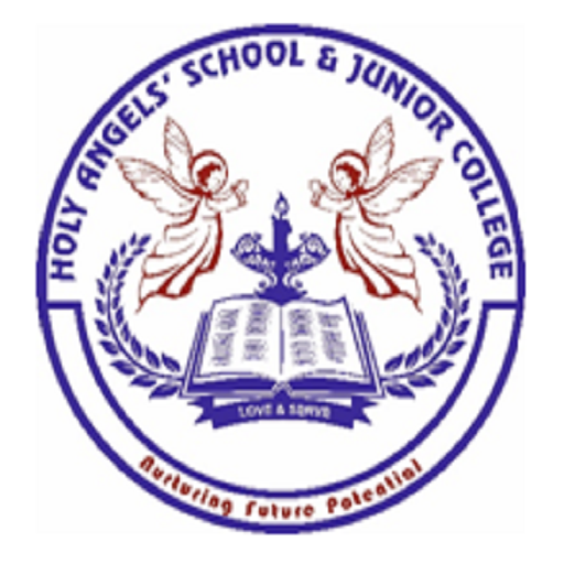 Holy Angels Junior College  Icon