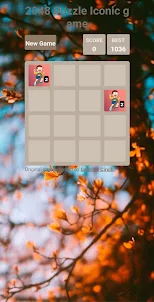 2048 Puzzle Iconic game