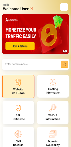 Web Audit -WHOIS DNS and Domain