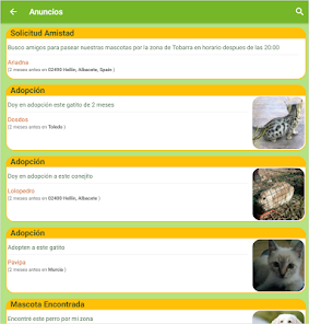Snímek 13 Social Animals android