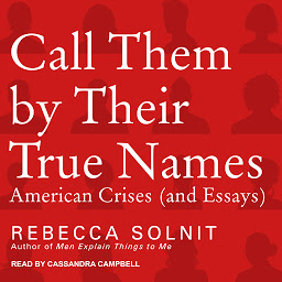 Icon image Call Them By Their True Names: American Crises (and Essays)