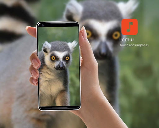 Android application Lemur Sound Effects screenshort