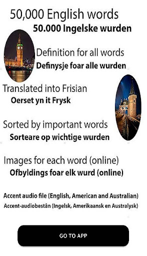 Android application English frisian dictionary screenshort