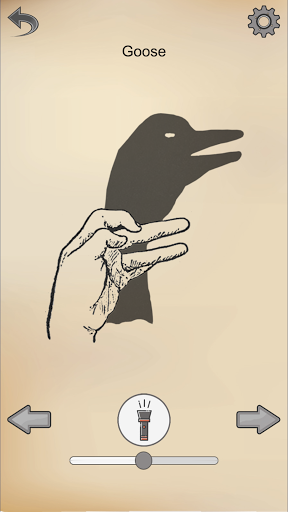 Shadowgraph Screen 3