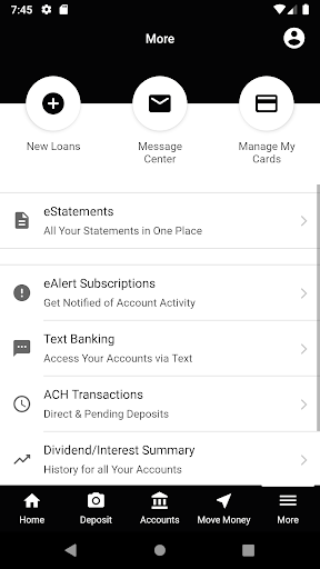 AAA Federal Credit Union Screen 2