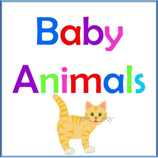Baby Animals 1.3 Icon