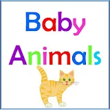 Baby Animals icon