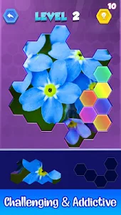 Jigsaw Hexa Puzzle Block Game