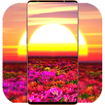 Cover Image of डाउनलोड Sunset Wallpaper HD 1.03 APK
