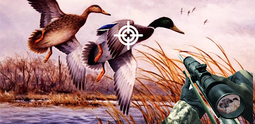 Birds Hunting Sniper Shooting