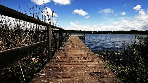 Landscape Wallpaper