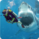 Cover Image of ダウンロード Shark Diver 3D  APK