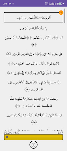 Surah Yaseen with Audio screenshot 2