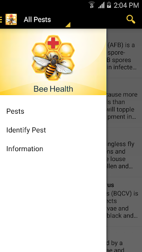 Bee Health Screen 3