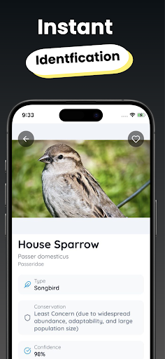 Bird Identifier - BirdSnap