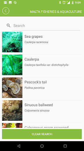 Malta Fisheries & Aquaculture Screen 2