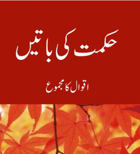 Islamic Books in Urdu offline Screenshot 1 - AppWisp.com