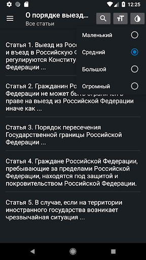 Закон о въезде и выезде в РФ Screen 3