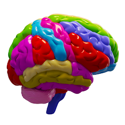 Symbolbild für Gehirn und Nervensystem 3D