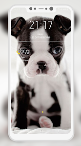 Captura 11 Boston Terrier Wallpaper android