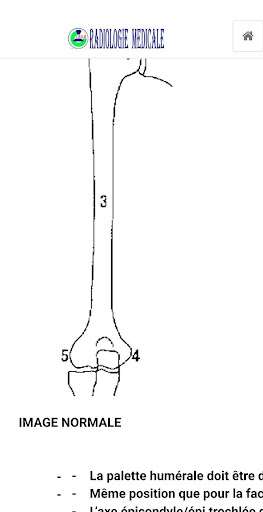 Techniques Medical Radiology