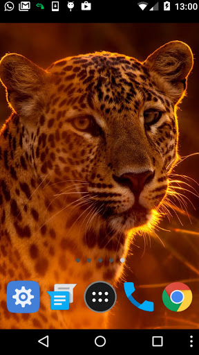 Android application leopard wallpaper screenshort
