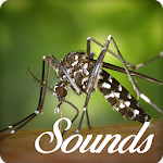 Cover Image of Download Mosquito Sounds and Ringtone Audio 8.0 APK