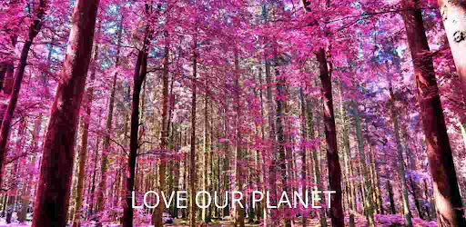 Android application Nature Documentary screenshort