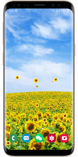 Sunflower Live Wallpaper Screen 2