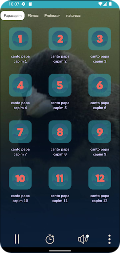 Canto de Papacapim Screen 2
