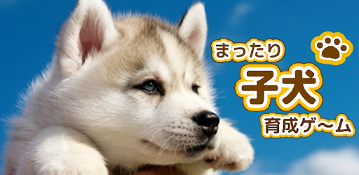 子犬のかわいい育成ゲーム 完全無料の可愛い犬育成アプリ Google Play のアプリ