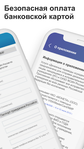 ФСИН РФ: денежные переводы Screen 3