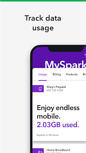 Spark NZ For PC 4